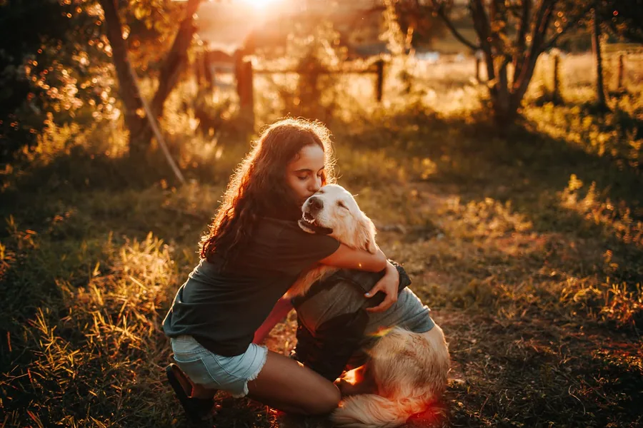 Dog receiving gentle care from a person